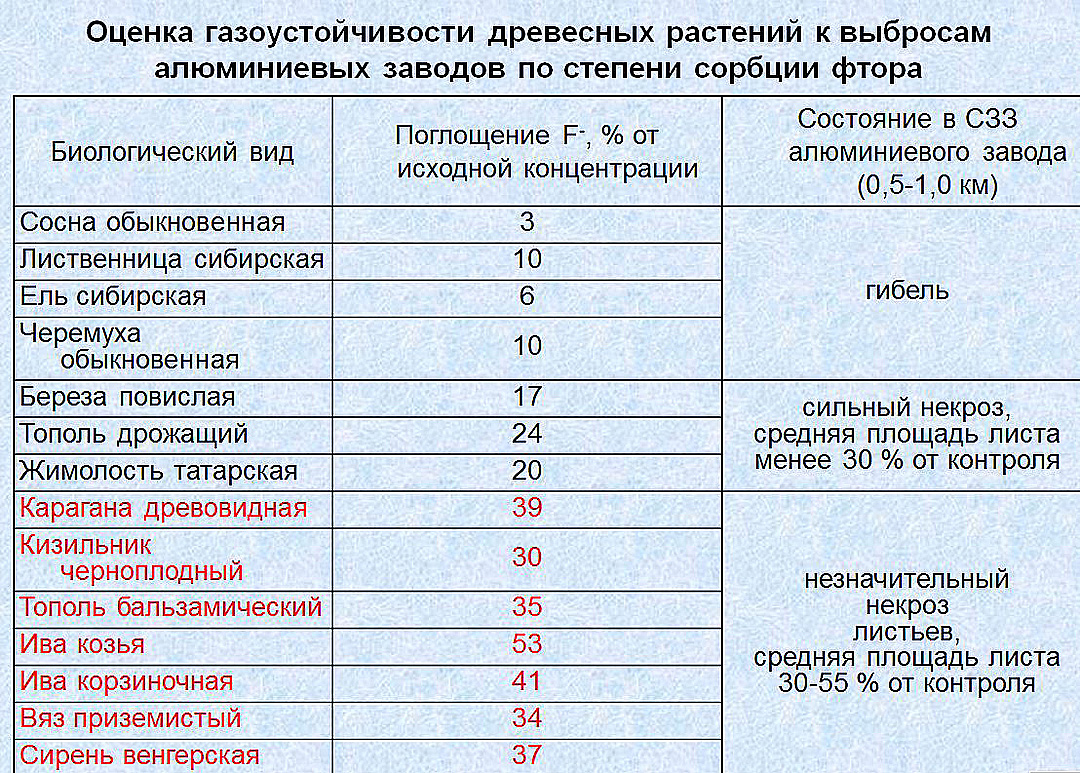 Газоустойчивость растений презентация