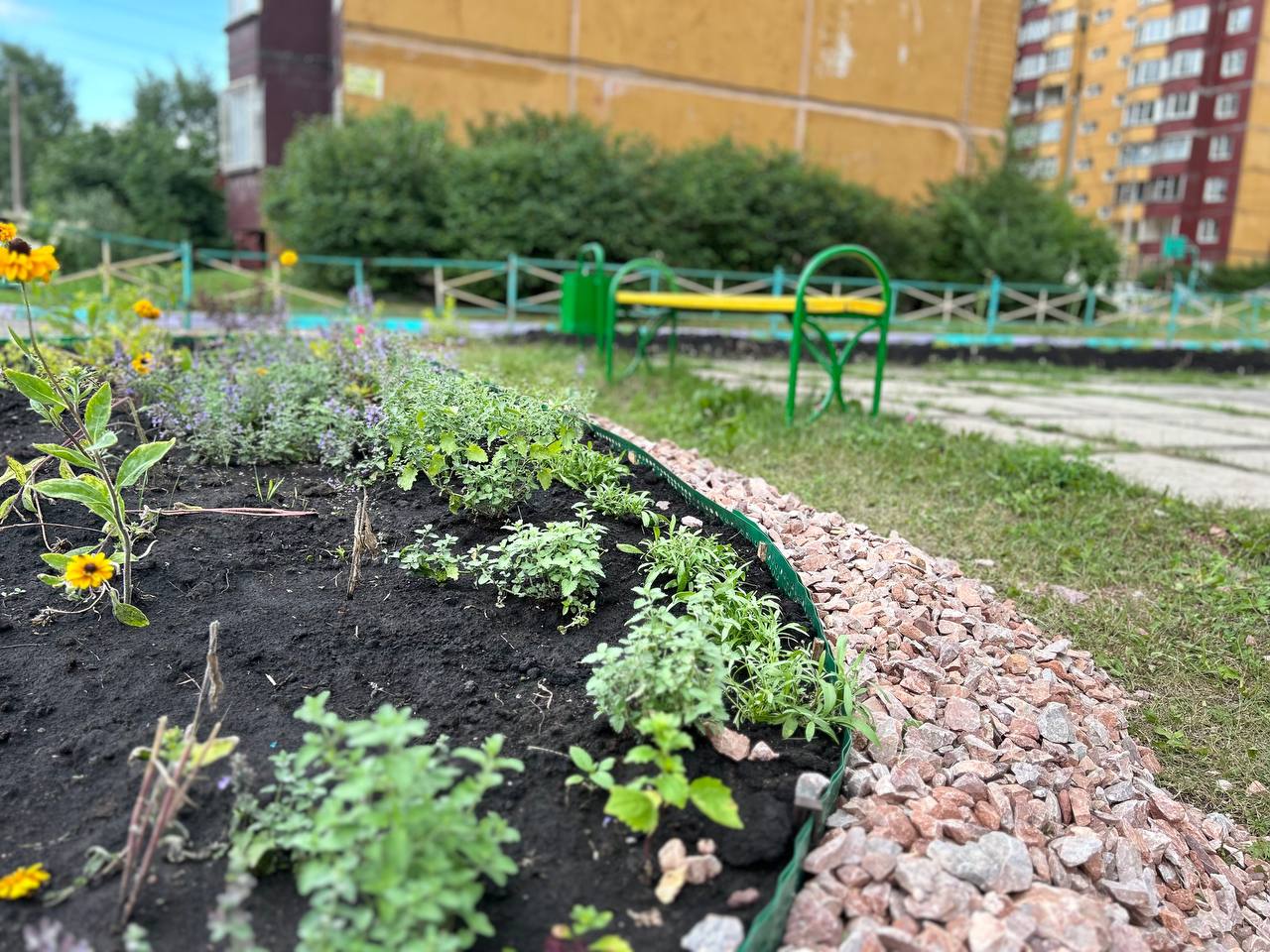 клумба на Тимошенкова.jpg