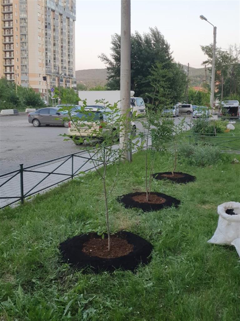 В Свердловском районе приступили к освоению грантов конкурса «Лучшая  концепция озеленения территории» - Новости - Официальный сайт администрации  города Красноярска