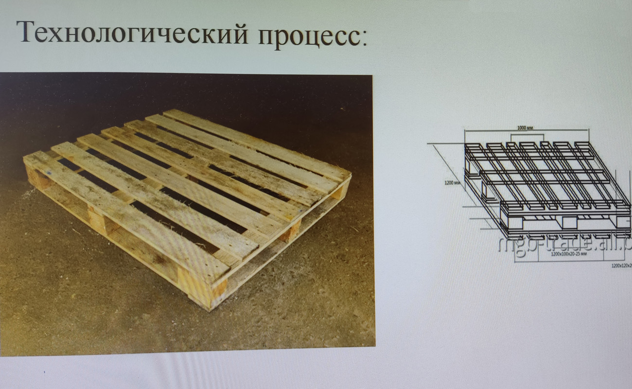 Красноярские школьники рассказали, как за лето заработать 100 тысяч -  Новости - Официальный сайт администрации города Красноярска