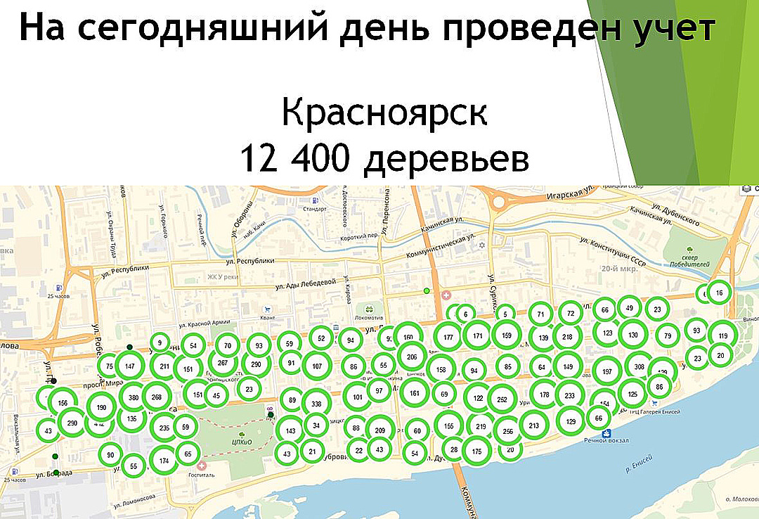 У Красноярского озеленения должен быть свой бренд и стратегия - Новости -  Официальный сайт администрации города Красноярска